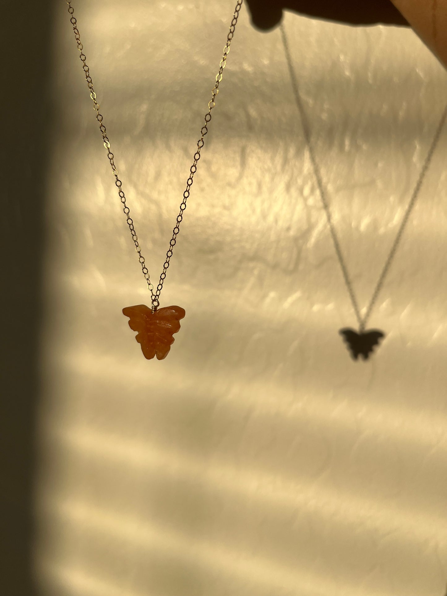 The Butterfly