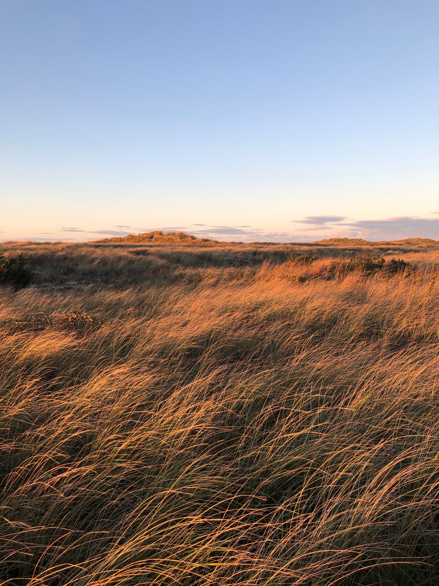Inspired by Cape Cod: Brewster
