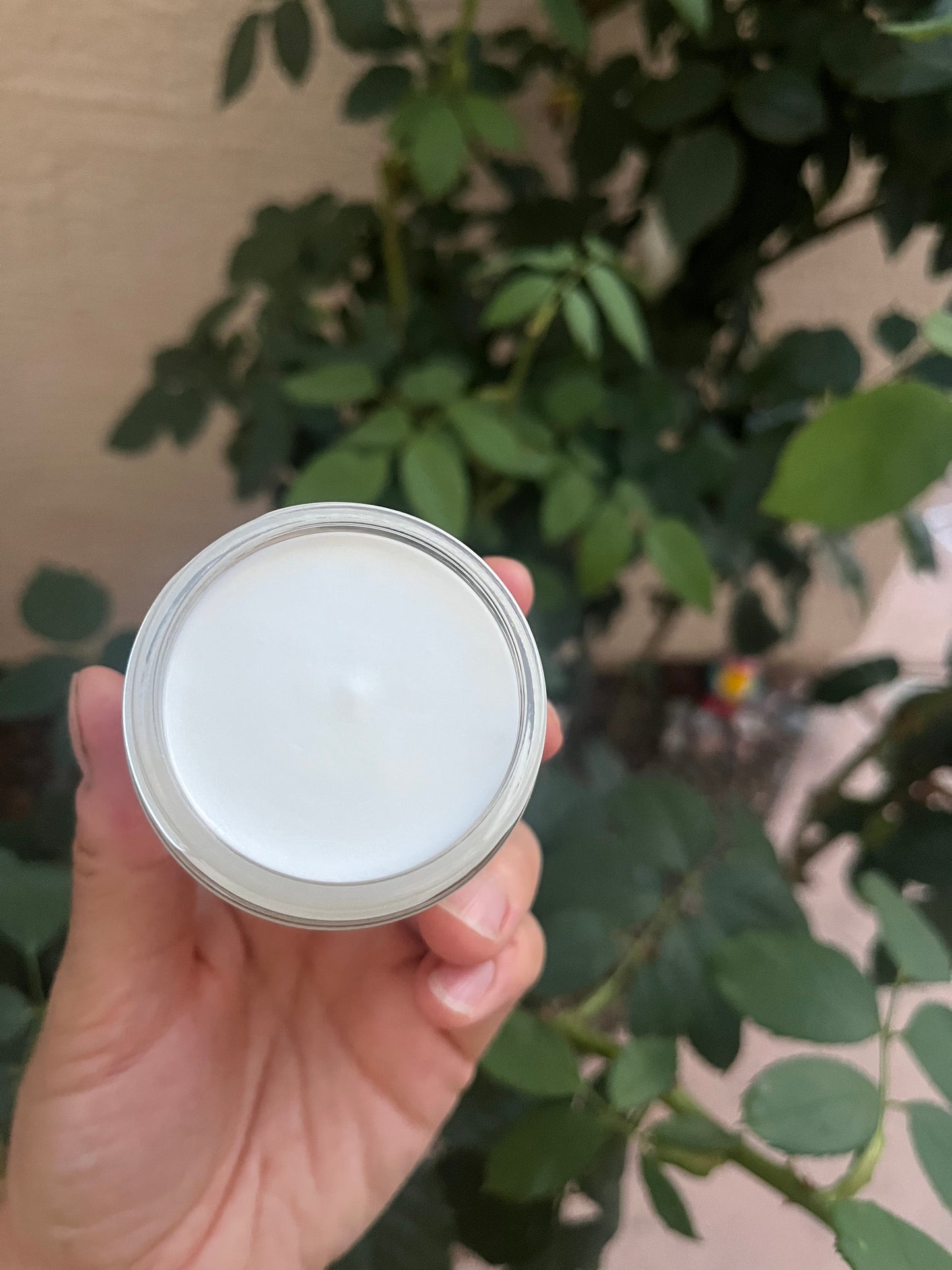 Desert Rain Face Cream