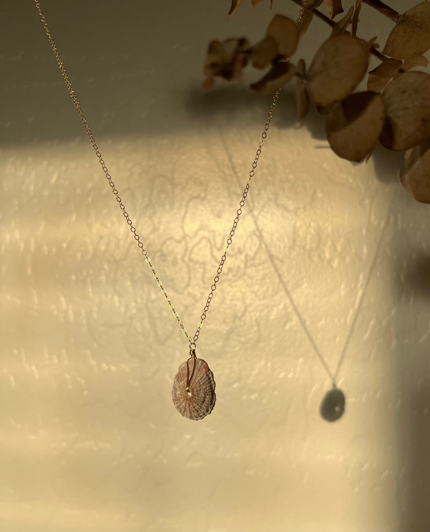 Limpet I