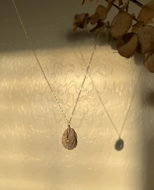 Limpet I