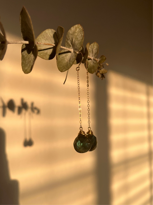 14k gold filled Labradorite dangle earrings hanging from a piece of eucalyptus against a shadowy background