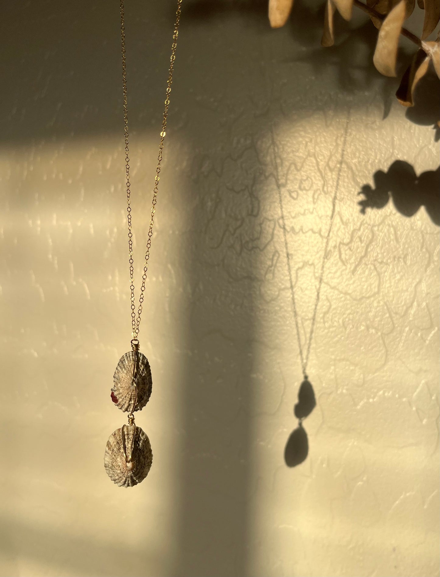 Limpet II
