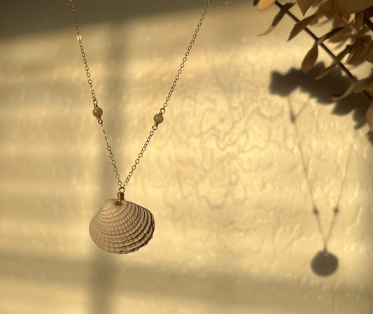 Cape Cod I