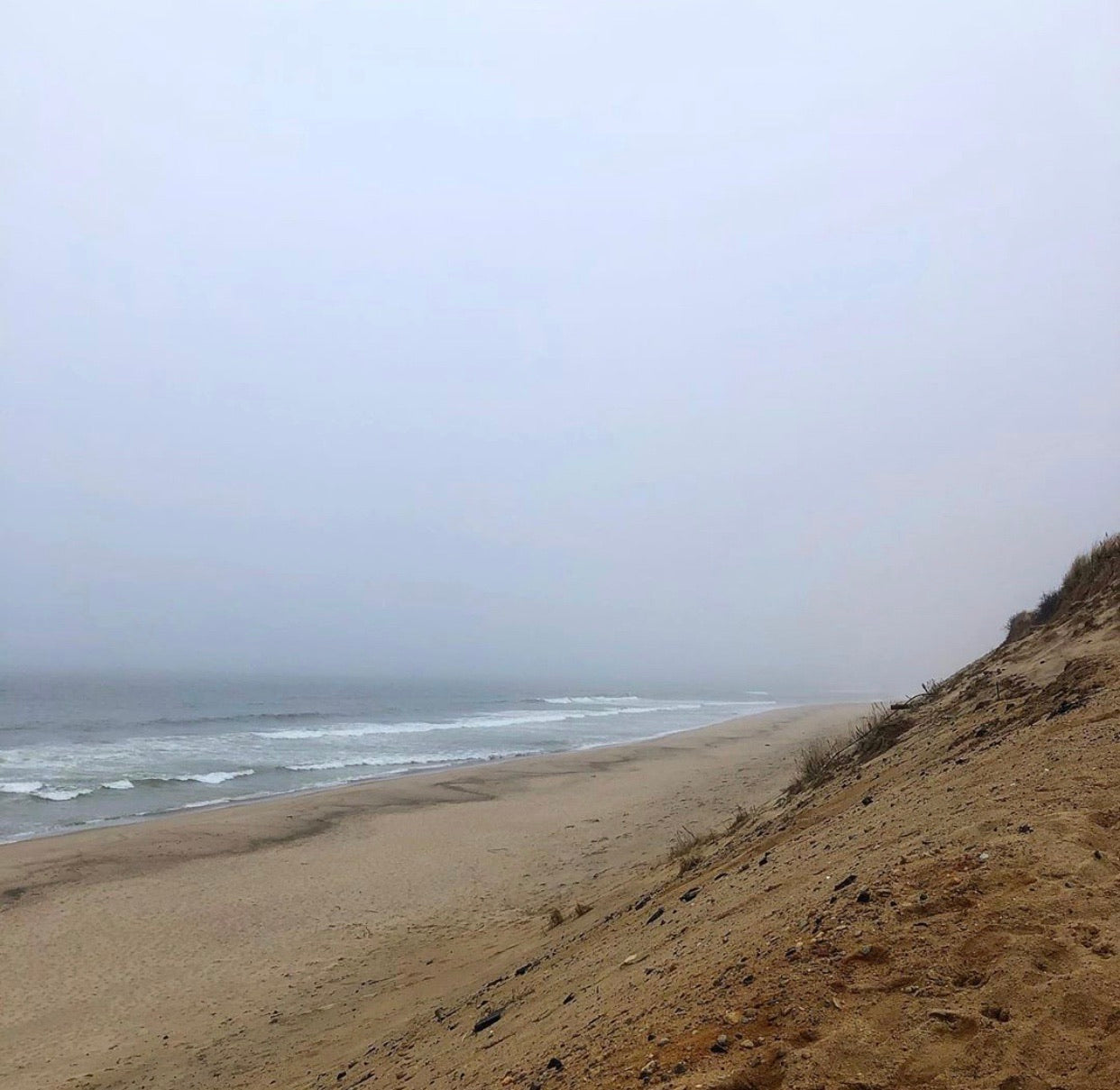 Inspired by Cape Cod: Wellfleet